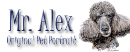 A New Pet Portrait – Mr. Alex