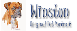 Winston – Another Original Pet Portrait