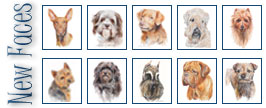 New Faces Added