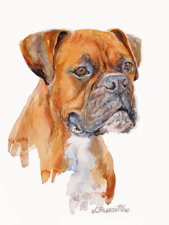 Winston Winston
