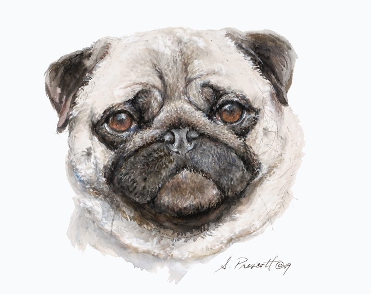 Pug - Ling Ling