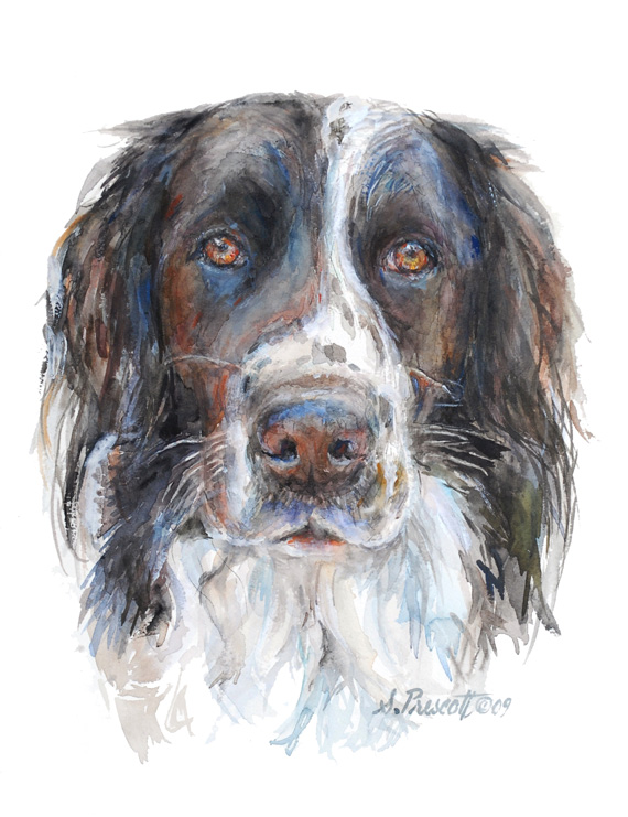 Murphy