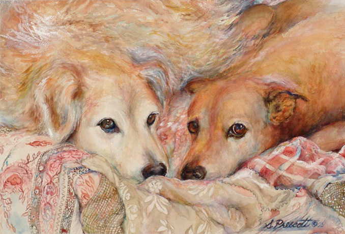 Penelope's Dogs