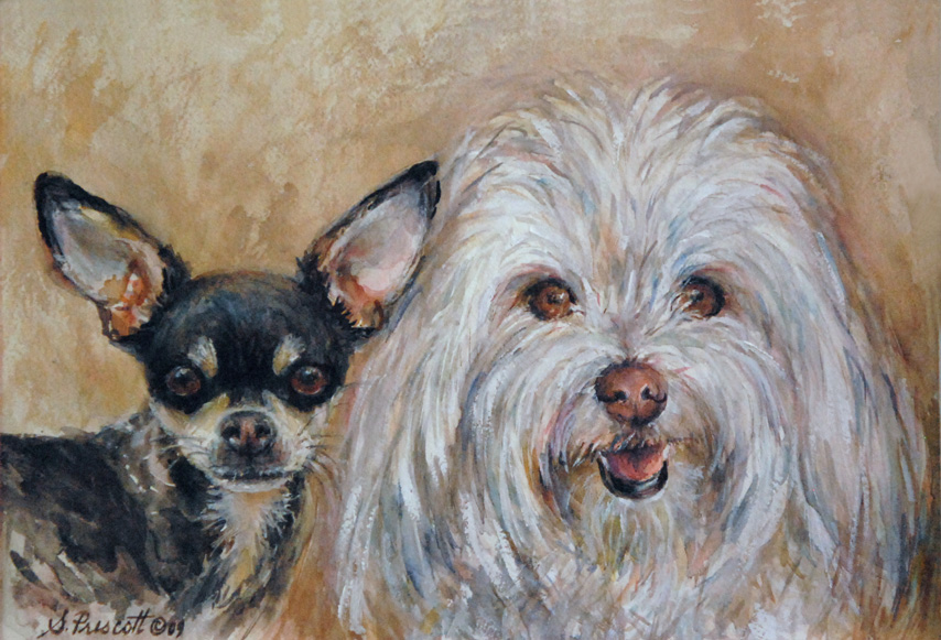 Zak and Zina